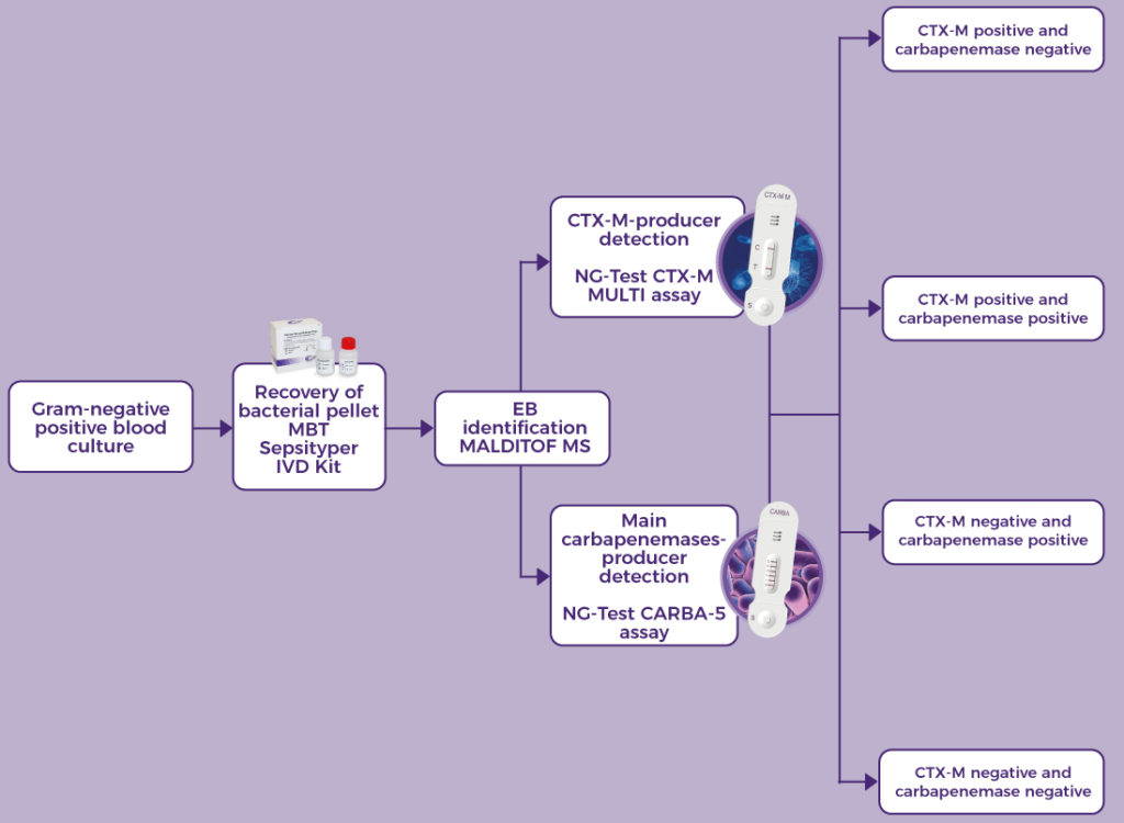 Carba 5 Test Process